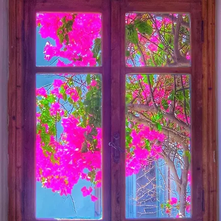 Otel Mare Naxia Naxos City