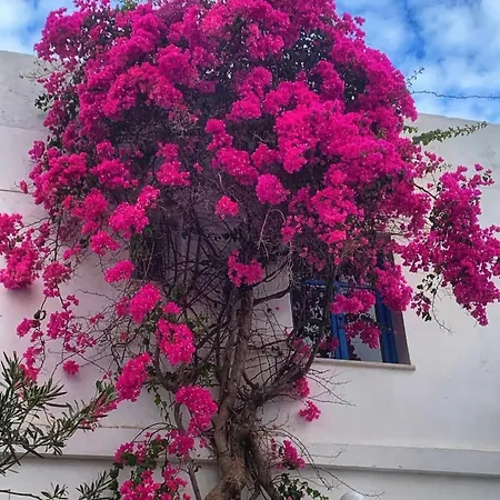 Mare Naxia Szálloda Naxos City