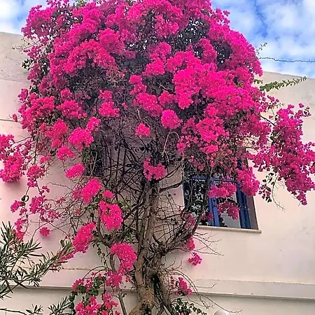 Mare Naxia Naxos City